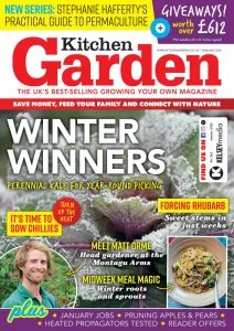 Kitchen Garden - 01.2026