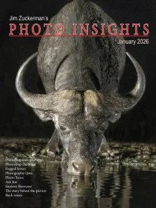 Photo Insights - 01.2026