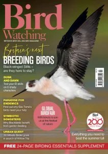 Bird Watching UK - 07.2026