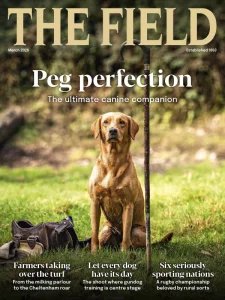 The Field - 03.2026