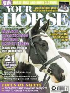 Your Horse - 03.2025