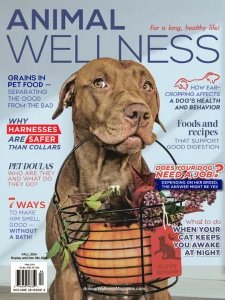 Animal Wellness - Fall 2024