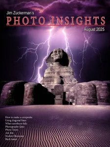 Photo Insights - 08.2025