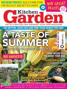 Kitchen Garden - 06.2025