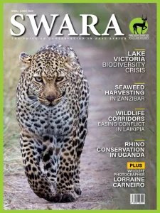 Swara - 04/06 2025