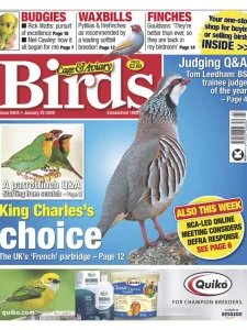 Cage & Aviary Birds - 01.28.2026