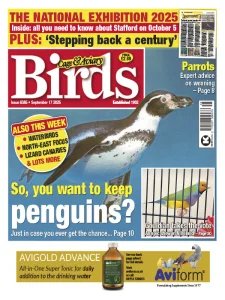 Cage & Aviary Birds - 17.09.2025