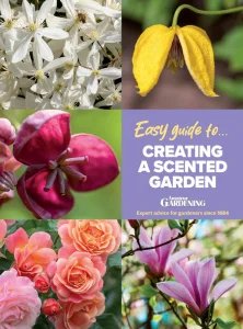 Amateur Gardening Easy Guide to - Creating a Scented Garden 2026