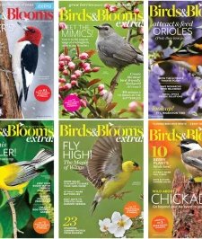 Birds & Blooms - 2017 Full Year Compilation