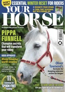 Your Horse - 03.2026