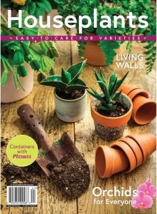 Houseplants 2023