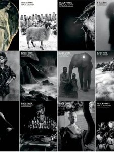 Black + White Photography - 2021 Full Year