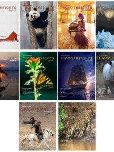 Photo Insights - 2014 Full Year Compilation