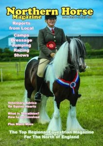 Northern Horse - 07.2026