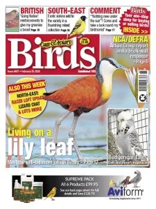 Cage & Aviary Birds - 25.02.2026