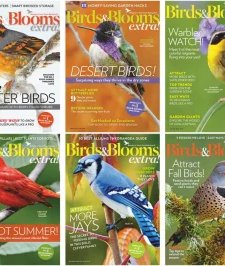 Birds & Blooms - 2019 Full Year Compilation