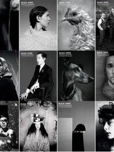 Black + White Photography - 2019 Full Year