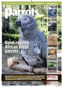 Parrots - 08.2026
