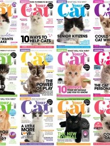 Your Cat - 2021 Full Year