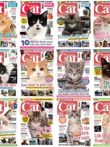 Your Cat - 2017 Full Year