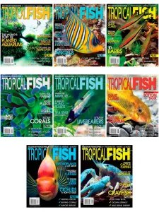 Tropical Fish Hobbyist - 2015 Full Year Compilation