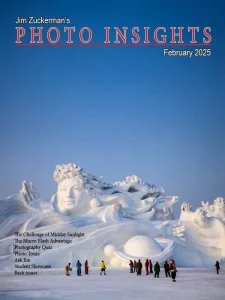 Photo Insights - 02.2025
