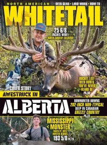 North American Whitetail - 03/04 2026