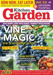 Kitchen Garden - 09.2025
