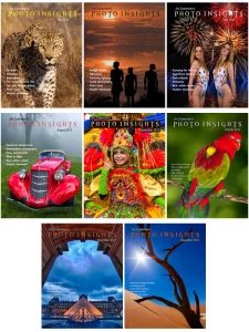 Photo Insights - 2013 Full Year Compilation