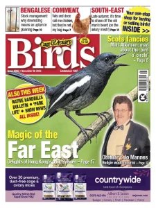 Cage & Aviary Birds - 26.11.2025