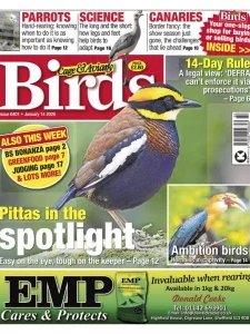 Cage & Aviary Birds - 14.01.2026