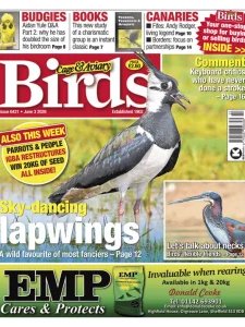 Cage & Aviary Birds - 3.06.2026