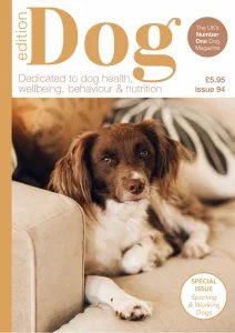 Edition Dog - Is. 94 2026
