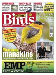 Cage & Aviary Birds - 29.07.2026