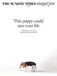 The Sunday Times Magazine - 31.05.2026
