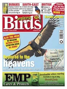 Cage & Aviary Birds - 29.10.2025