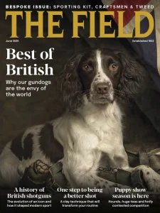The Field - 06.2025