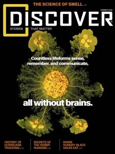 Discover - Summer 2026