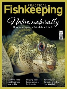 Practical Fishkeeping - 12.2022