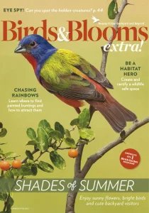 Birds and Blooms Extra - Summer 2025
