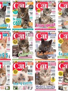 Your Cat - 2016 Full Year