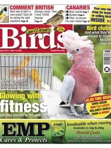 Cage & Aviary Birds - 04.15.2026