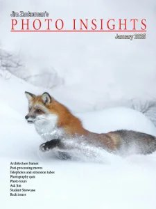 Photo Insights - 01.2025