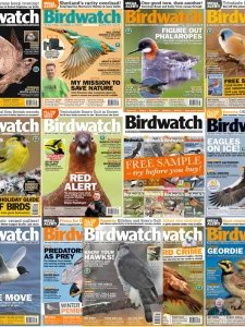 Birdwatch - 2018 Full Year