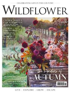 Wildflower - Autumn 2026