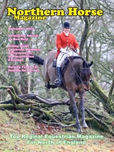 Northern Horse - 03.2025