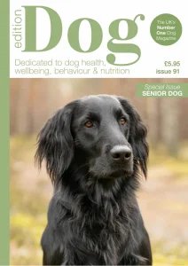 Edition Dog - Is. 91 2026