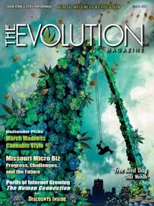 The Evolution - 03.2025